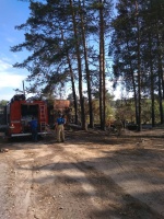 Пожар на Кремешках - 1.jpg